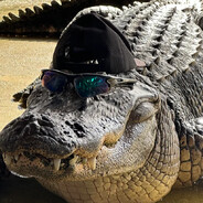 skatergator