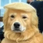 你不是说怕黑又怕鬼吗