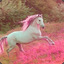 lilpinkhorse