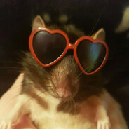 Timothy (Rat on Cocaine)