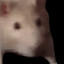TzX