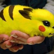 -pg- Alexis.Prescott