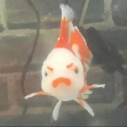 天使土豆侠