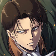 LEVI ACKERMAN