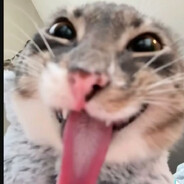pussyclatt avatar