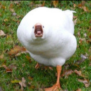 GOOSE