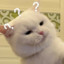 tomqaq