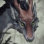 Dracona