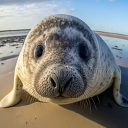 -Starina - steam id 76561199854600624