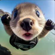 花花世界迷人眼