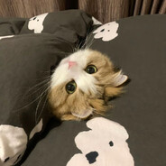 Fang