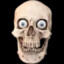 ae