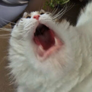 Comandante ужасный