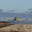 AirTractor 502B