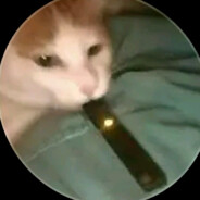 milo_very friendly <3 skins.army