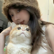 霹雳无敌咩咩羊