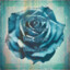 Blue Roses