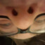 qqqqqqqqqqqqqqqqqqqqqqq