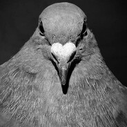 Убейся Клоун Prostoj