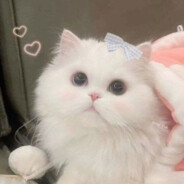 Ashley - steam id 76561197962714567