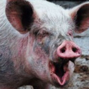 мама илона маска