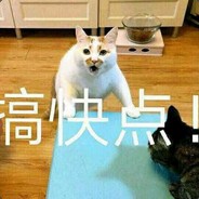 霁寒宵