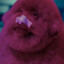 Pivnoe_puzo