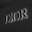 Dior_ss
