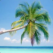 ulothix avatar