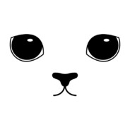 Pizza Carbonaura z Bydgoszczy