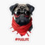 PugLife