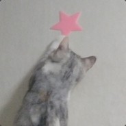 MLsanta's Avatar