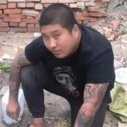 沈阳大道的绝猛凶虎