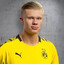 Falk Grieffenhagen