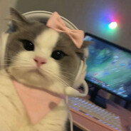 𝐀𝐲𝐮𝐦𝐢 歩