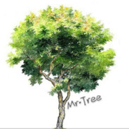 哎呦，还不错哦