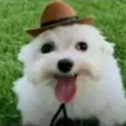 ВасюляБлэкХол