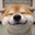 Kun