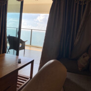 我的队友是diaomao