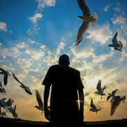 红细胞特别小组李二牛