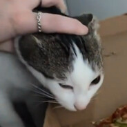 Slate_|_not_the_wors's avatar