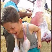 che3km8 - steam id 76561198773027727