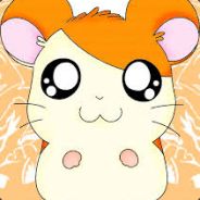 Hamtaro the Hamster