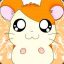 Hamtaro the Hamster