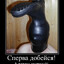 ХРЯЩИК