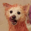 depre??ed's avatar