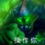 宫崎老先生