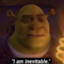 Chelokatten