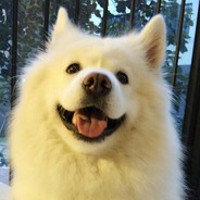 手上全是你的水