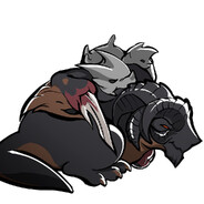 AAA.狂龙心脏批发商